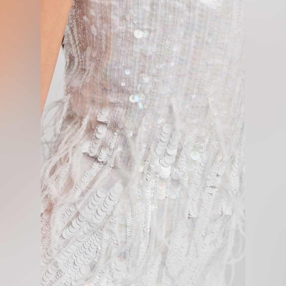 NWT Retrofete Anastasia Sequin Feather Dress - Picture 3 of 16